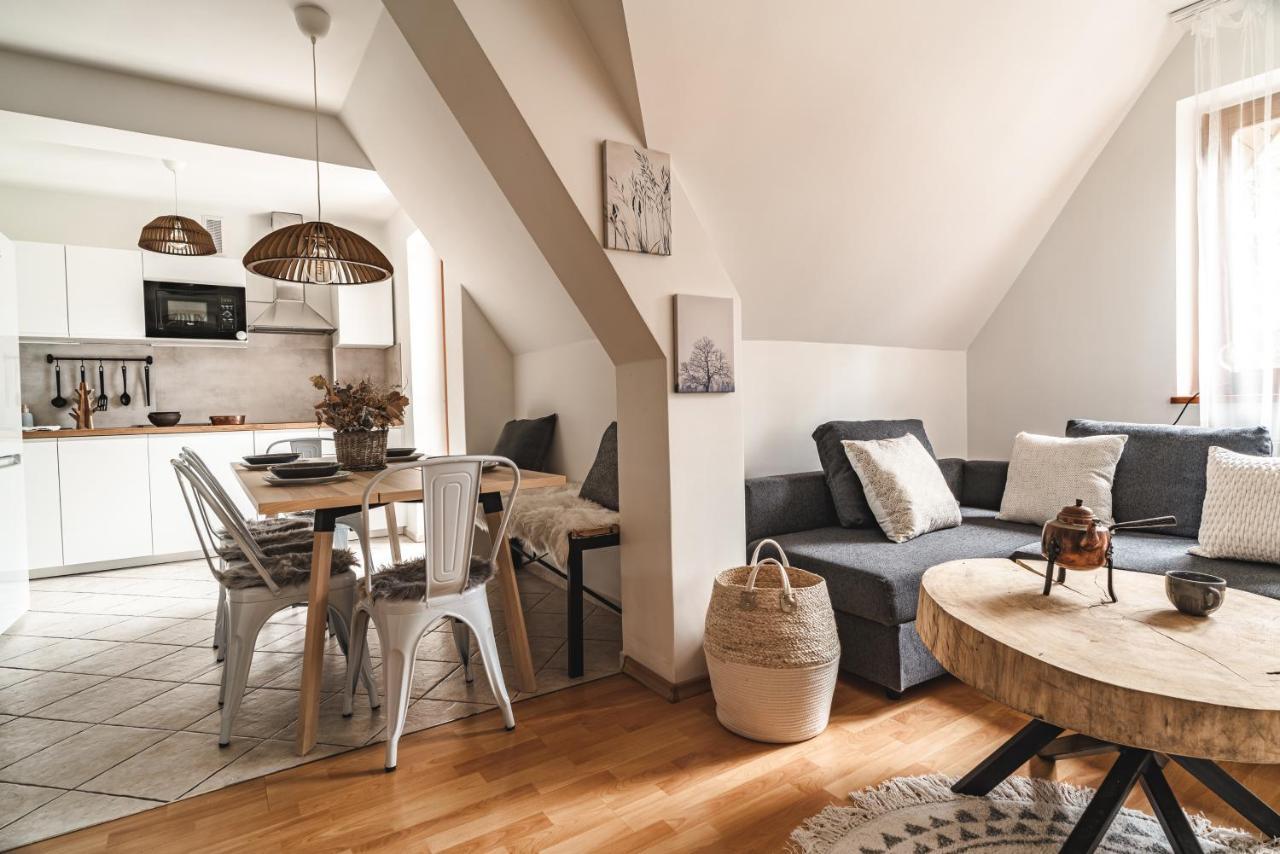 Apartamenty Shanta 考斯赛力克 外观 照片